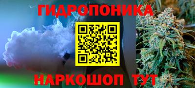 ECSTASY Новозыбков