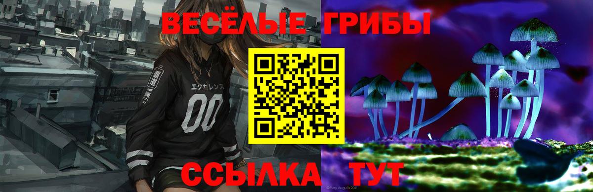 Феодосия  Псилоцибиновые грибы мицелий  Псилоцибиновые грибы Psilocybe  Вход с VPN 